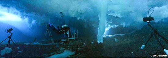 恐怖的海底死亡冰指!从上而下冻结:直接杀死大批海洋生物