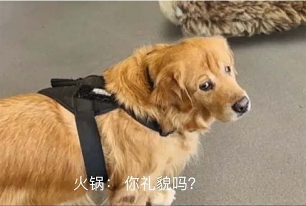 蓝牙史诗级更新 这回是冲着苹果来的?