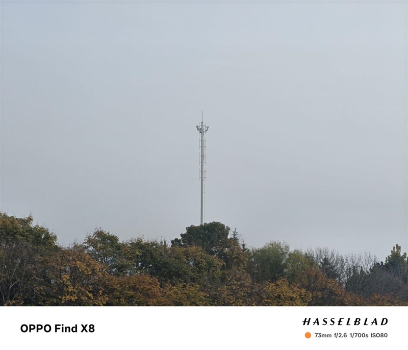 果里果气的直屏旗舰！OPPO Find X8深度评测：抬手就出片的抓拍氛围感神器