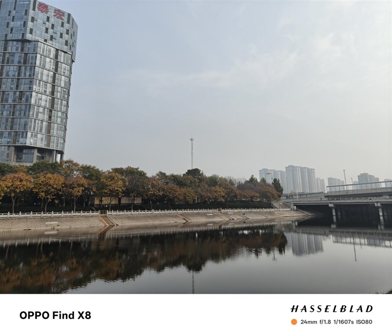 果里果气的直屏旗舰！OPPO Find X8深度评测：抬手就出片的抓拍氛围感神器