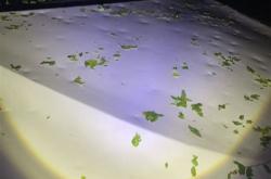 北京冰雹车盖被砸出气泡膜！车主：车玻璃砸碎 车身全是坑