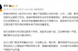 雷军自曝：已取证数百账号 发起诉讼数十起 正在等待逐一开庭
