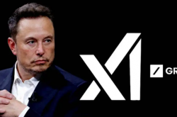 叫板谷歌！马斯克xAI发布Grok-4-Fast 性能比肩Gemini 2.5