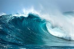 海滩退潮遍地生蚝 市民捡到手软