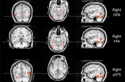 一个人能记住多少个人的脸 这个数字赌你猜不到