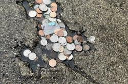 美国老鼠坑路火了！坑居然是松鼠砸的