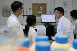 传输效率超95%！大连理工大学研发无人机新型射频传感器