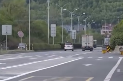 货车撞死狗后二次事故致老人丧命：司机被判次要责任