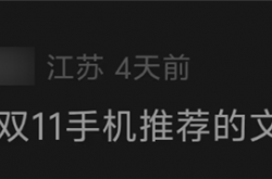 本来觉得双11没啥好买的 结果这些手机还挺香