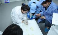 中国空间站第九批实验样品返回并交付科学家：包含四只太空小鼠