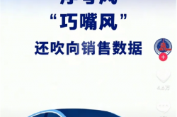 新华社痛批车圈三大“歪风”：“浮夸” “巧嘴” “语言腐败”