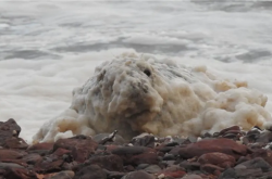 爱尔兰村庄出现罕见“泡沫雪” 像是洗洁精被打翻了