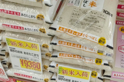 大米被评为日本2025年度美食 网友愤怒：这是伤口撒盐