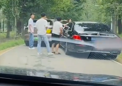 野生动物园里两车剐蹭多人下车争论：两只白虎一旁强势围观