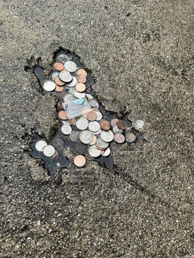 美国老鼠坑路火了！坑居然是松鼠砸的