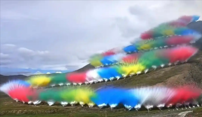 专家称烟花秀可能影响鼠兔：破坏整个食物链