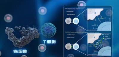 中科院开发出“纳米机器人”：给癌细胞贴通缉令 精准打击