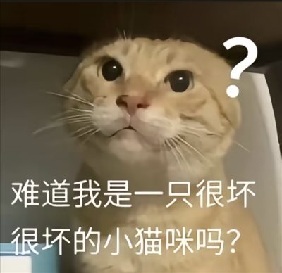 九阳豆浆卖爆了 但哈基米的泼天富贵可能快结束了