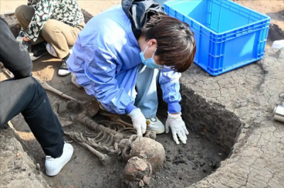 中国最早！河南贾湖遗址发现8000多年前木棺