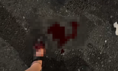 日本东京街头鼠患严重！根本不怕人 有迪拜女游客脚被咬出血