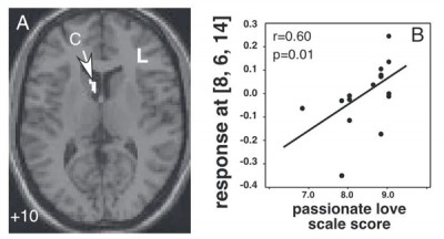 人为什么会“恋爱脑” 到底是不是病