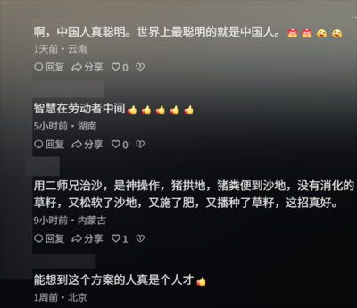 中国人靠着10万头黑猪 把沙壁整顿成了粮仓?