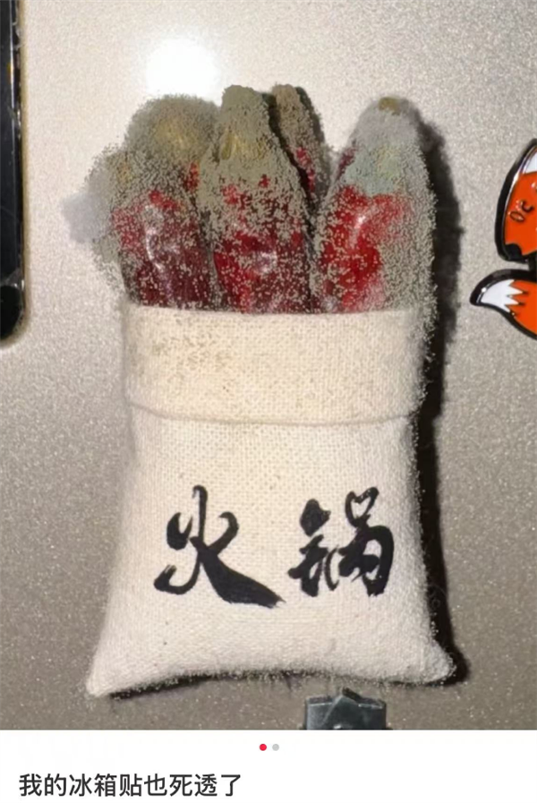 168元一个还得摇号!冰箱贴凭啥这么火