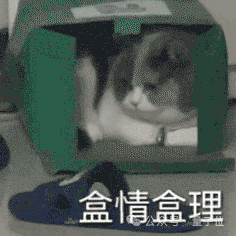 TikTok即将被封 歪果仁疯狂涌入小红书:中外网友边互助边搞抽象
