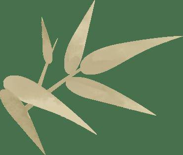 保胃健康 ： 自己晒的橘子果皮能叫作陈皮吗？
