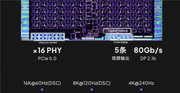 RTX 5090/D GB202内核照首次公开:922亿晶体管的暴力美学!