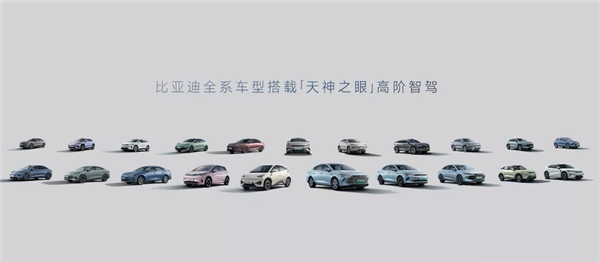 10万以上全标配!比亚迪智驾车型公布:多达20款
