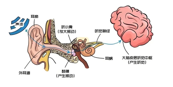 发病率上涨3倍多!好好的年轻人 怎么突然就听不见了