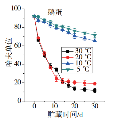 鹅蛋营养丰富 为什么很少有人吃 也很少有卖的