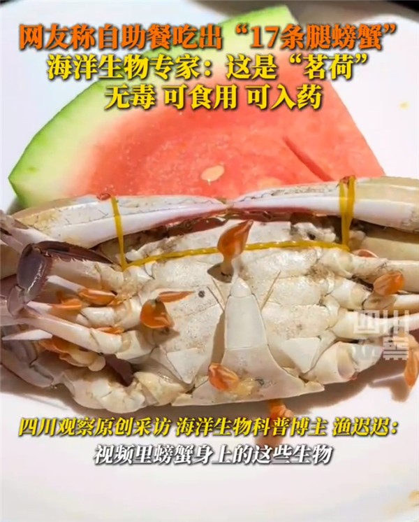 专家回应网友吃到17条腿螃蟹:该物为茗荷 无毒