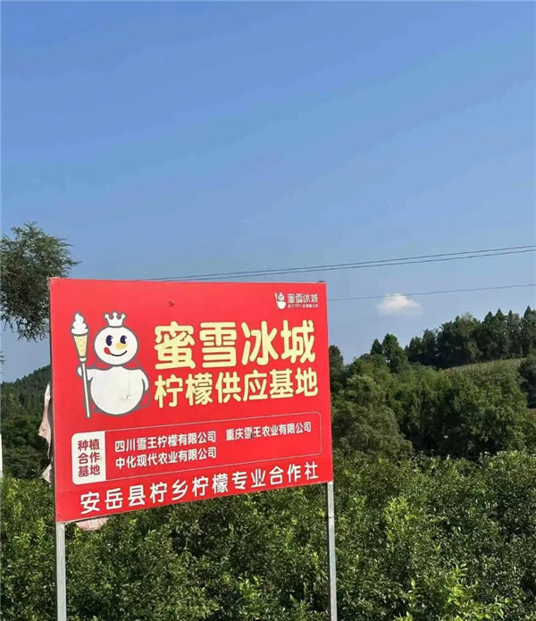 8秒就能出一杯奶茶!霸王茶姬比蜜雪冰城还会赚钱