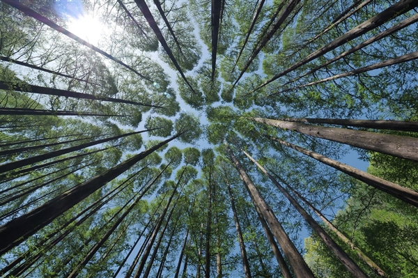真正的变“废”为宝!科学家新研究:人类尿液可生产氮肥