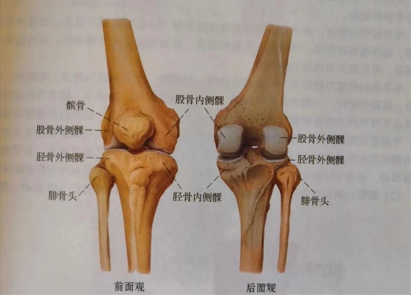 走路时膝盖突然“软”一下 别以为是累了