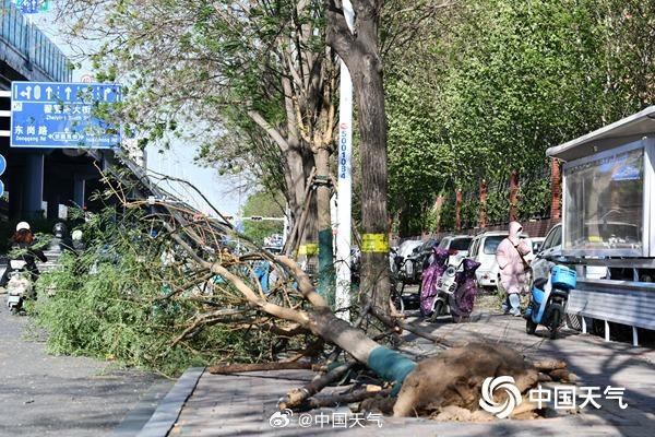 全国近500国家观测站极大风破纪录 还将刮多久