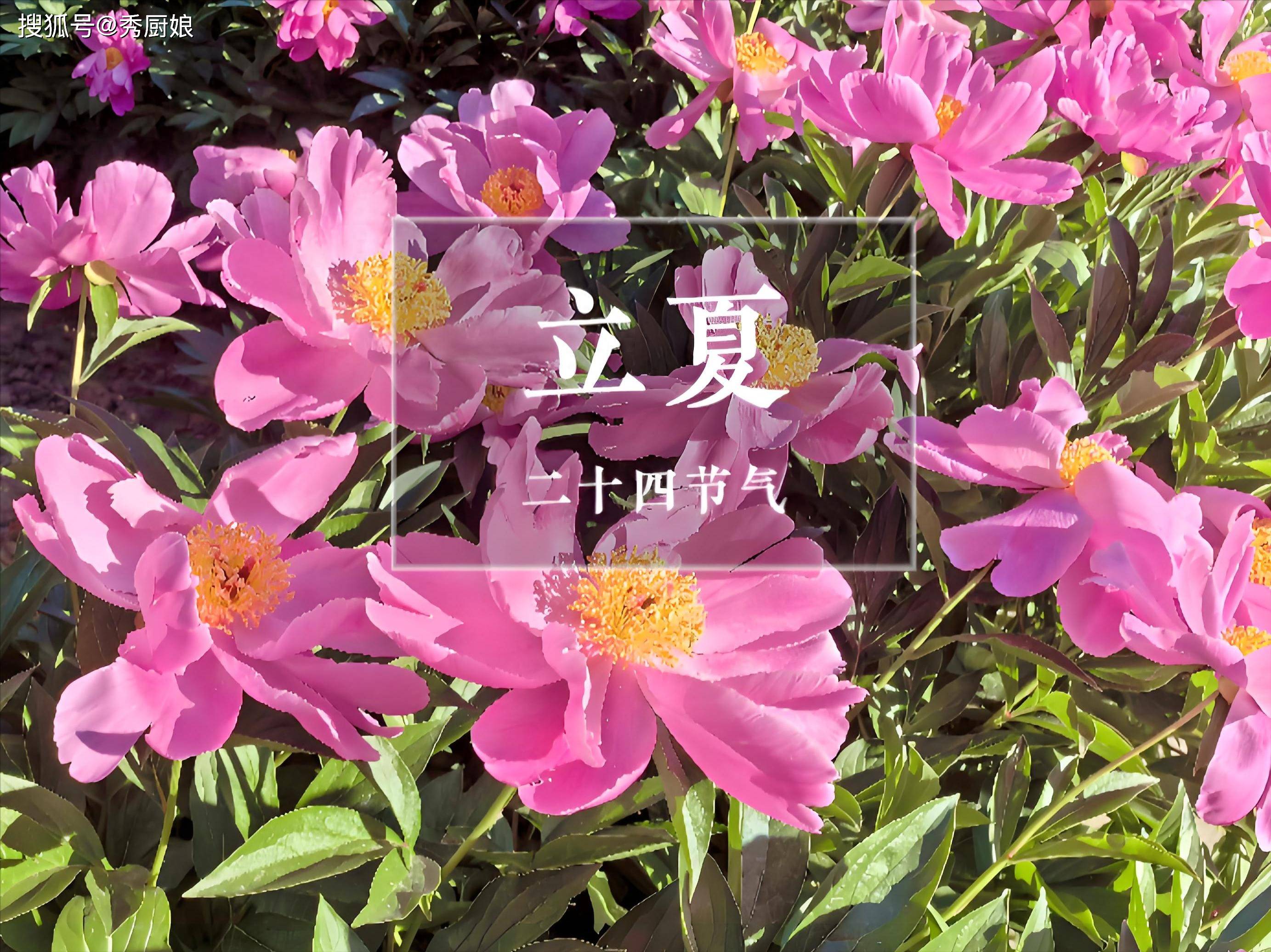 “千补万补，不如立夏一补”，5月5日立夏，别忘了尝三鲜、吃四红
