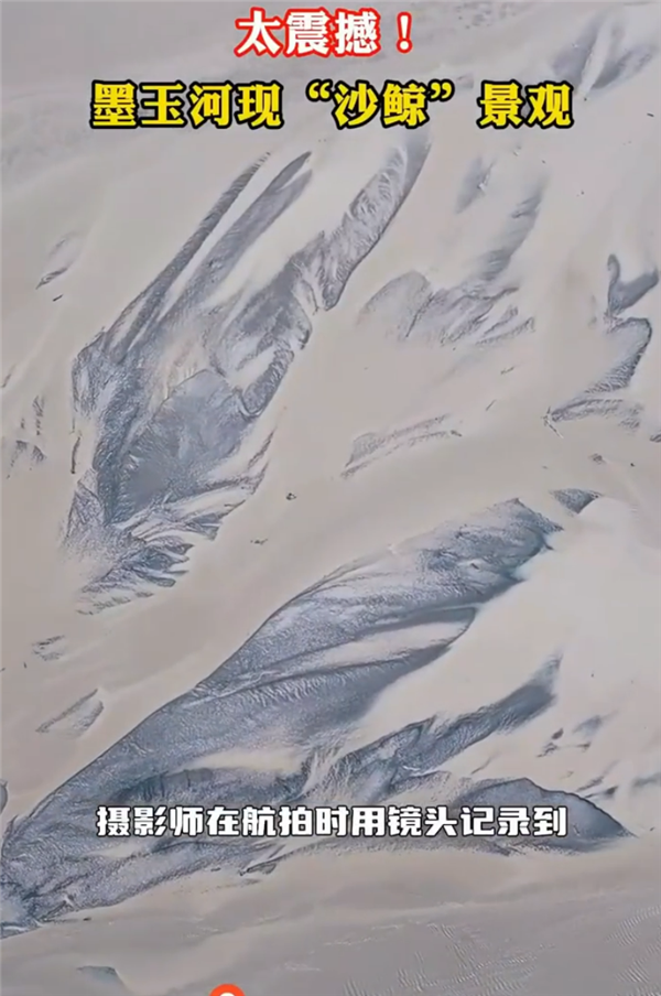 新疆一河水退去惊现巨鲸图案:长达520米
