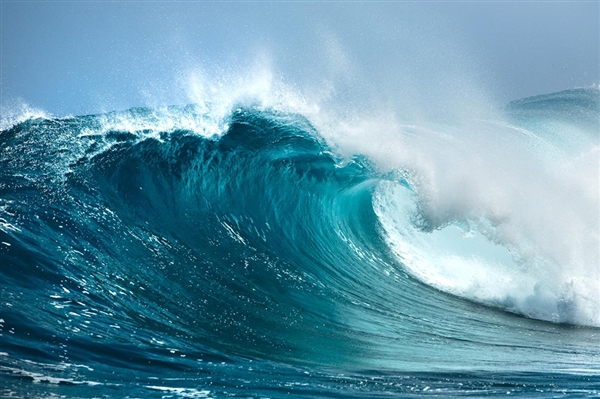 海滩退潮遍地生蚝 市民捡到手软