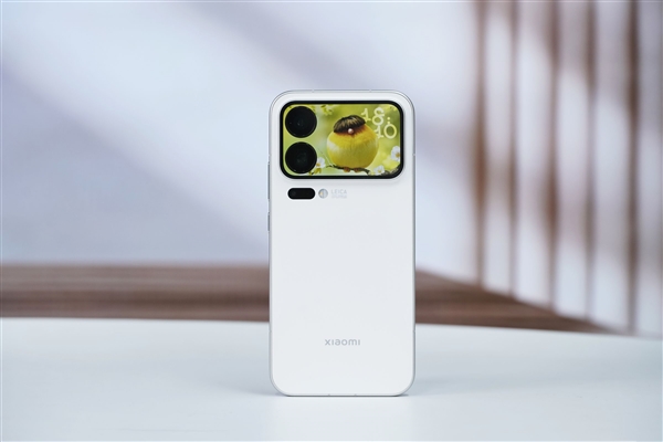 小米17 Pro Max销量最好!卢伟冰称小米17团队年终奖考虑翻倍