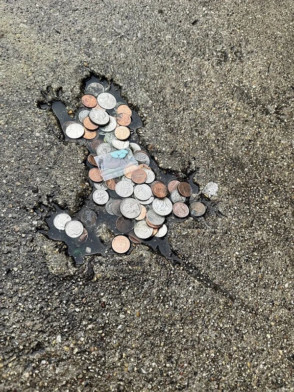 水泥地惊现“老鼠坑” 美国这条路火了！新研究带来反转：坑是松鼠砸的