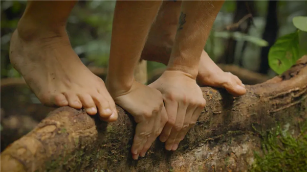 四肢着地、像动物一样爬行奔跑!怪异运动成健身新潮流