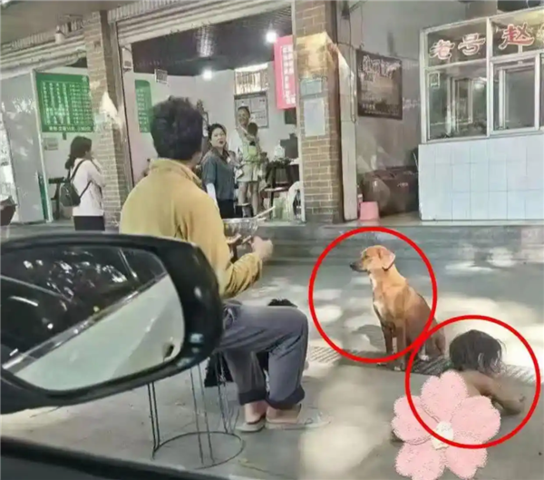 四肢着地、像动物一样爬行奔跑!怪异运动成健身新潮流