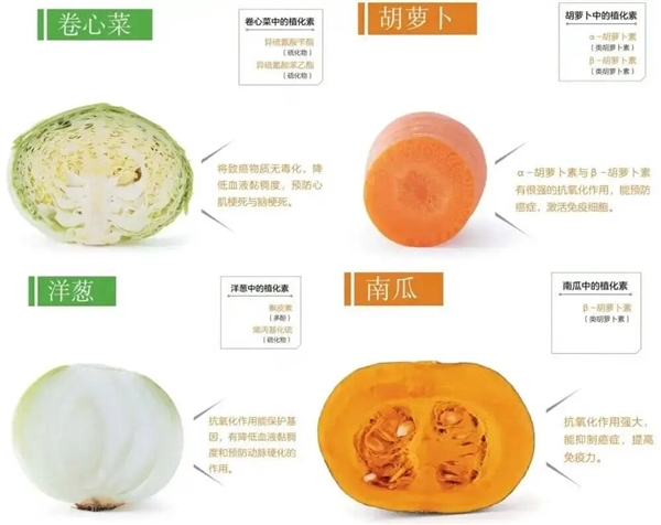 为了健康 年轻人就差啃绿化带了