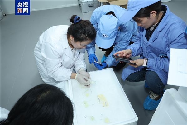 中国空间站第九批实验样品返回并交付科学家:包含四只太空小鼠