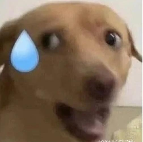 两年内放弃中国零件 特斯拉做得到吗