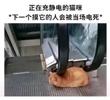 用了几十年的聚酯纤维:是怎么在互联网塌房的