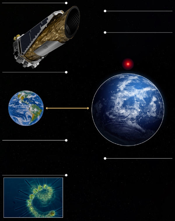 英国科学家预测：50年内将发现外星生命